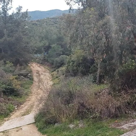 Διαμέρισμα Zafirenia